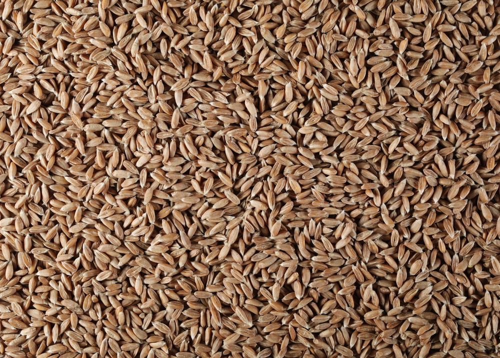 Spelt,Grain,Background,And,Texture